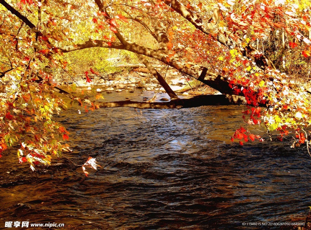 自然风光图片    唯美风景
