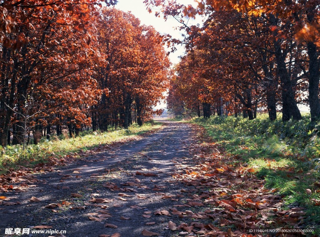 自然风光图片    唯美风景