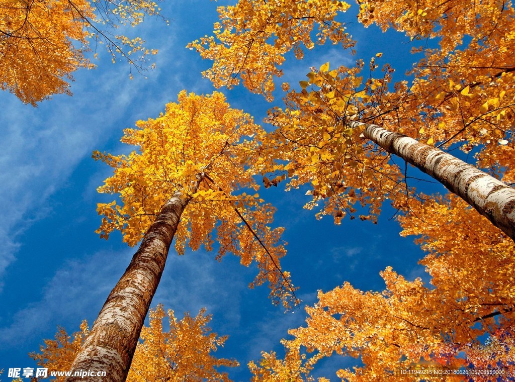 自然风光图片    唯美风景