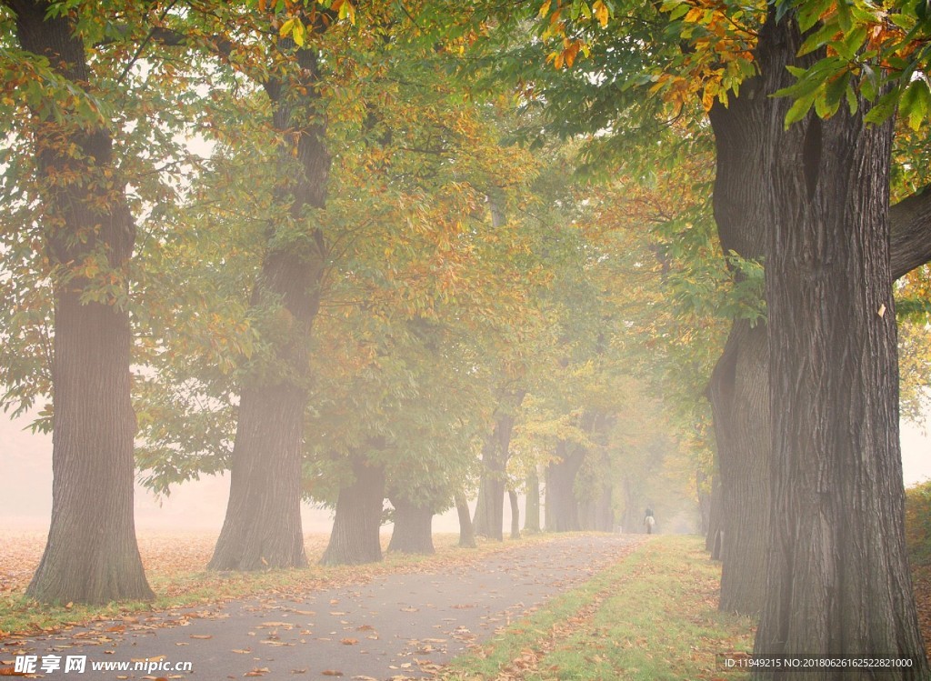 自然美景      自然景观