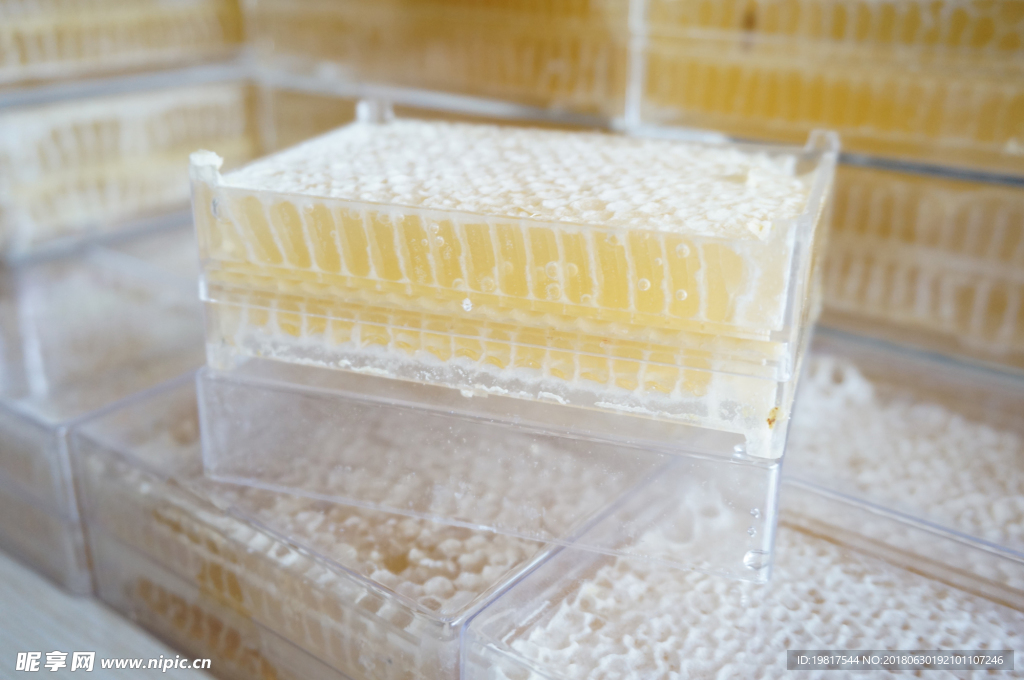 云南满泽蜂巢蜜蜂蜜图片