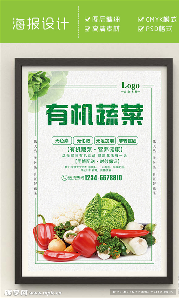 有机蔬菜海报