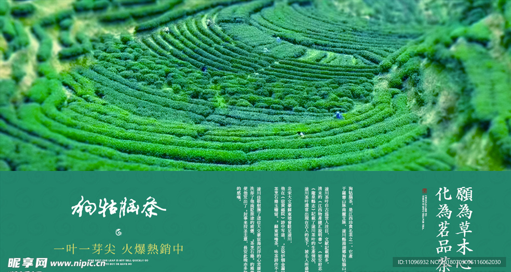 狗牯脑茶微信单图