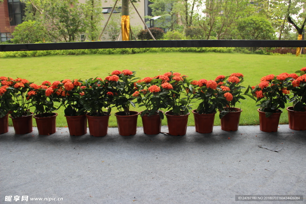 房地产现场花盆包装