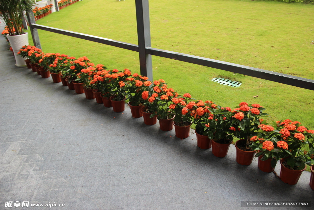 房地产现场花盆包装