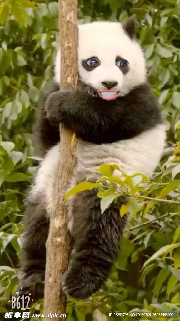 搞笑 趣味  壁纸 美化 设计