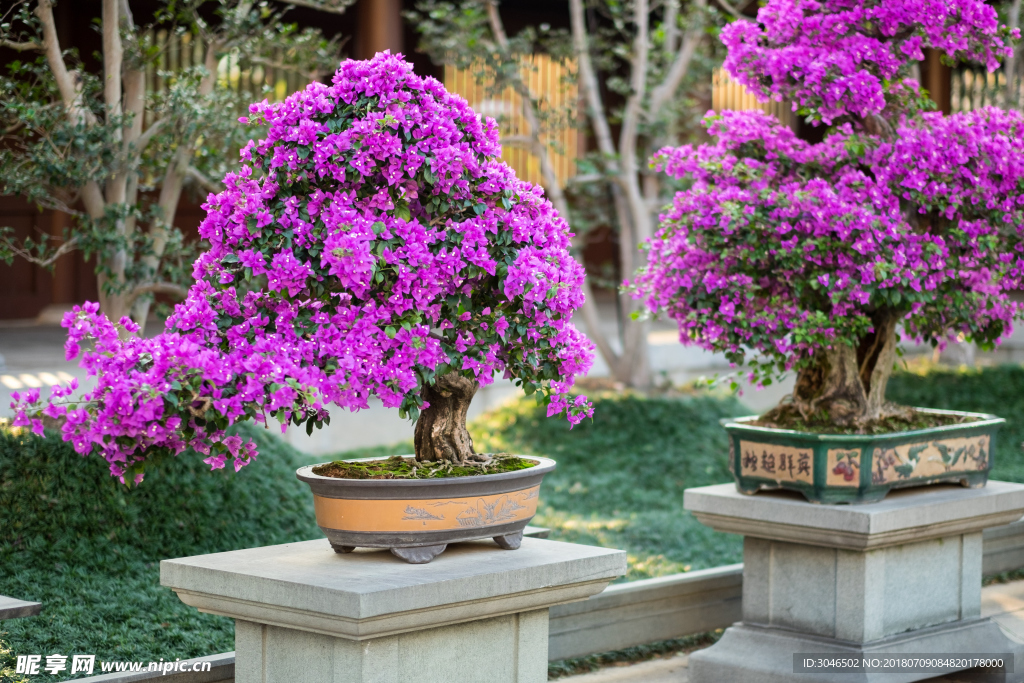 街道园林绿化装饰大花盆
