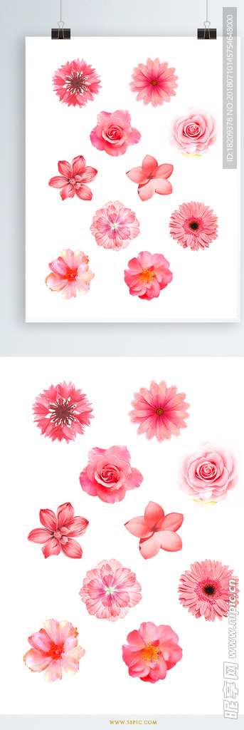 手绘花朵花卉矢量装饰原