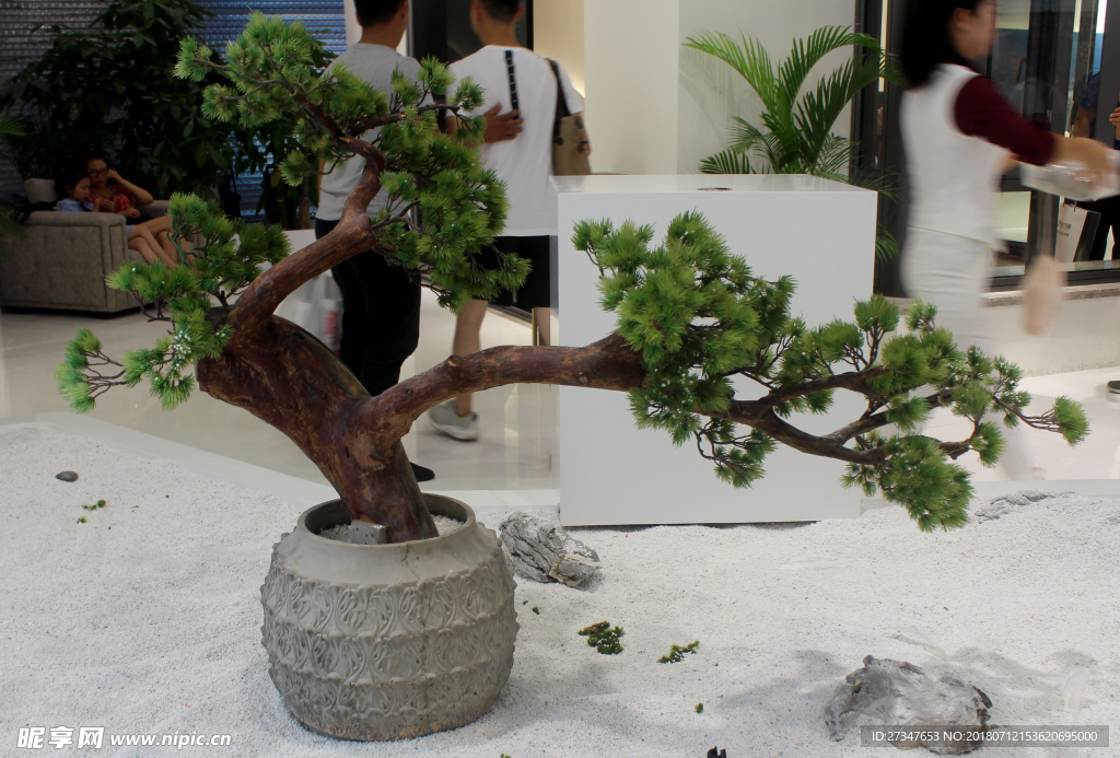 盘栽 装饰松树  装饰品