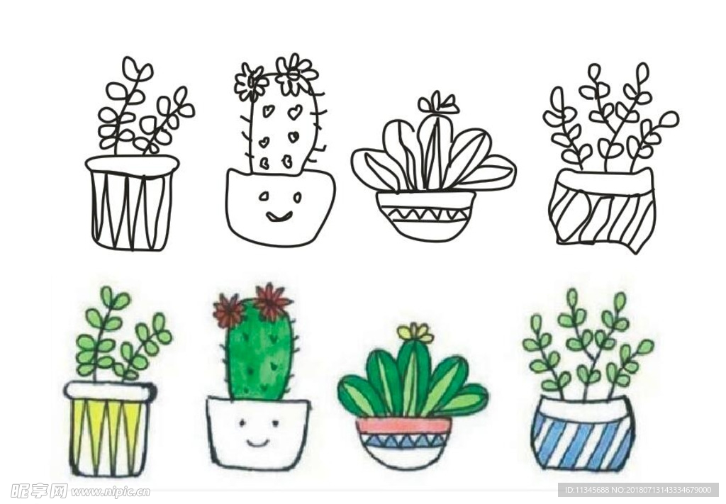 植物仙人掌简笔画