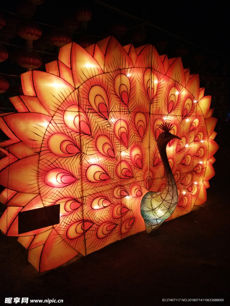 彩灯  孔雀