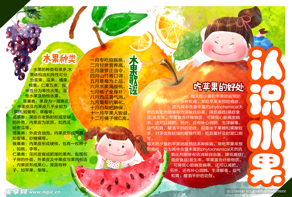 认识水果小报