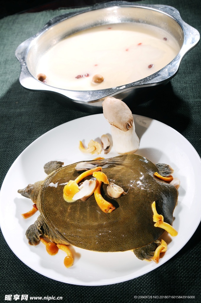 海王宫白菌甲鱼汤锅