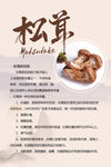 古风清新松茸介绍海报展示板