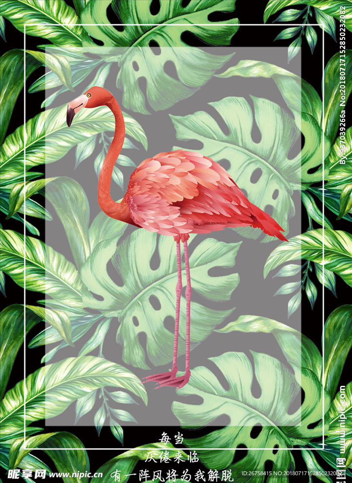 火烈鸟文艺小清新