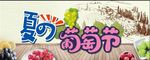 夏日葡萄节