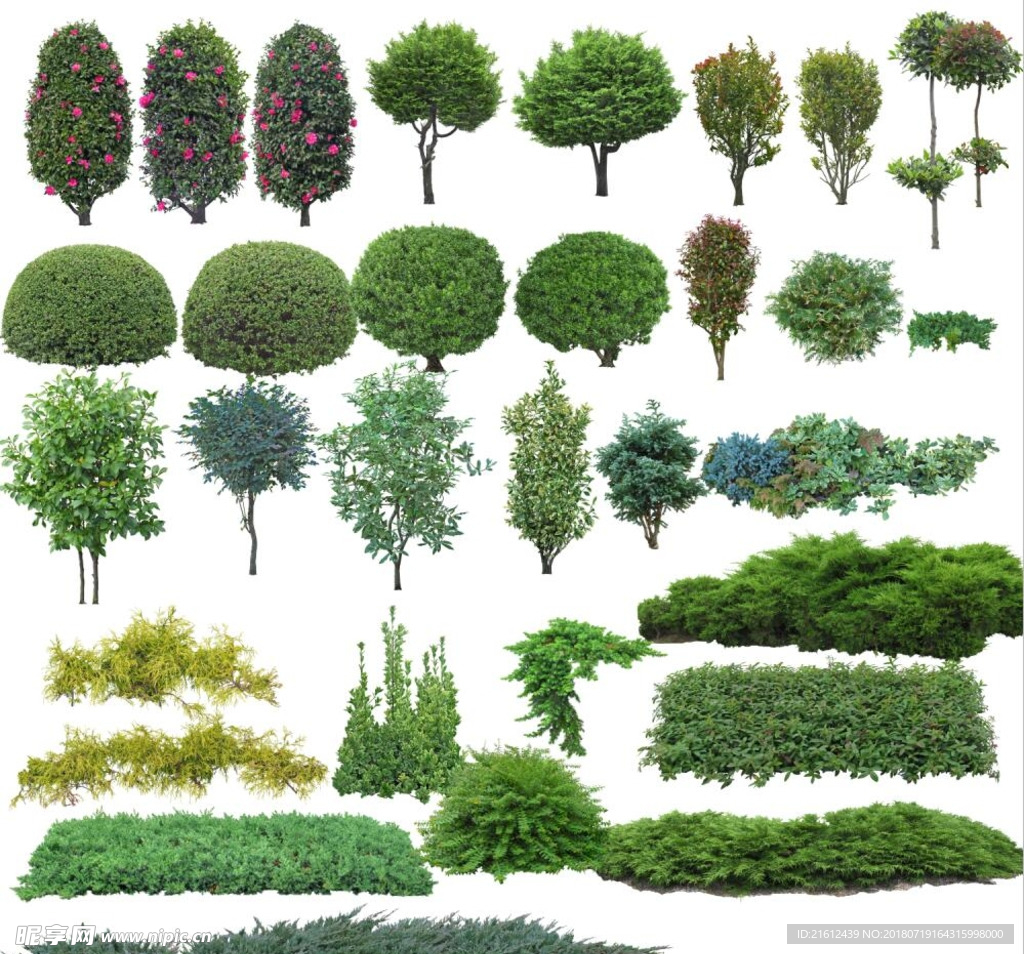 高清园林景观素材