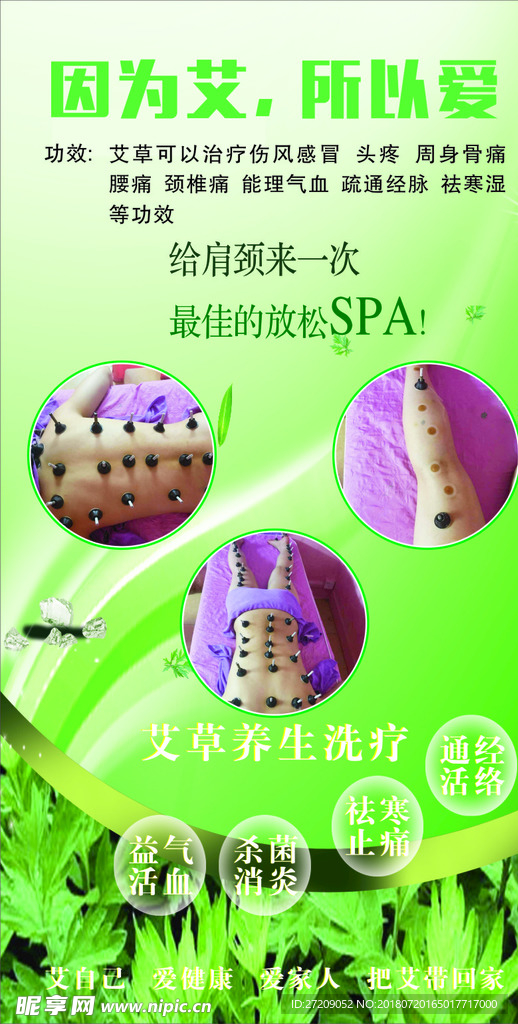 艾草海报