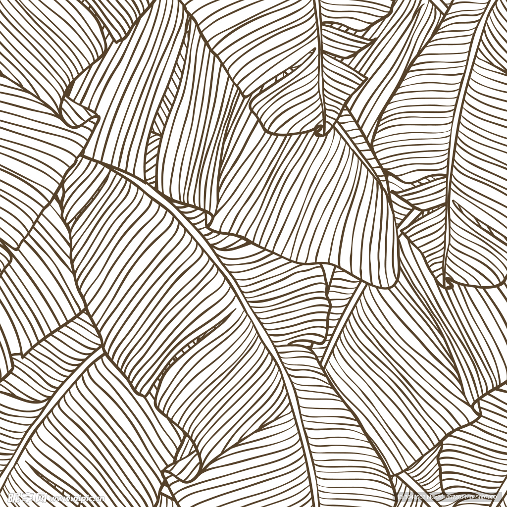 棕桐树叶纹理叶子图案背景