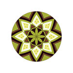 多肉毕业设计 植物