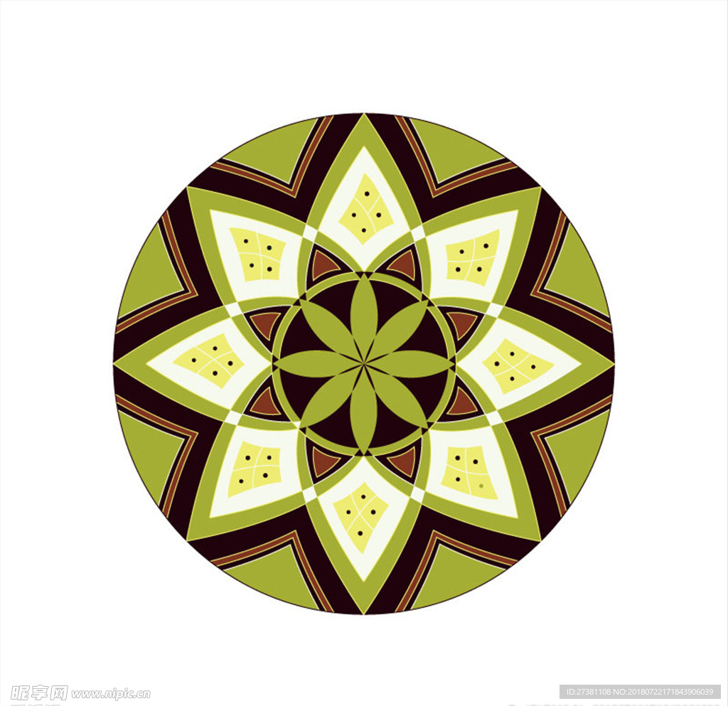 多肉毕业设计 植物