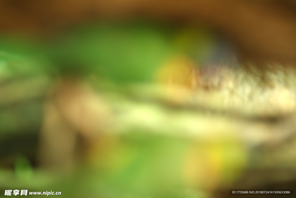 街拍光斑 炫光 光斑 绚烂光斑