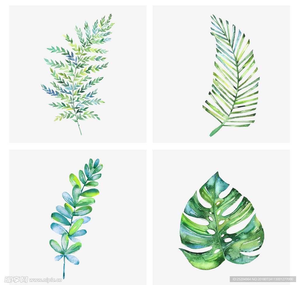 清新水彩叶子