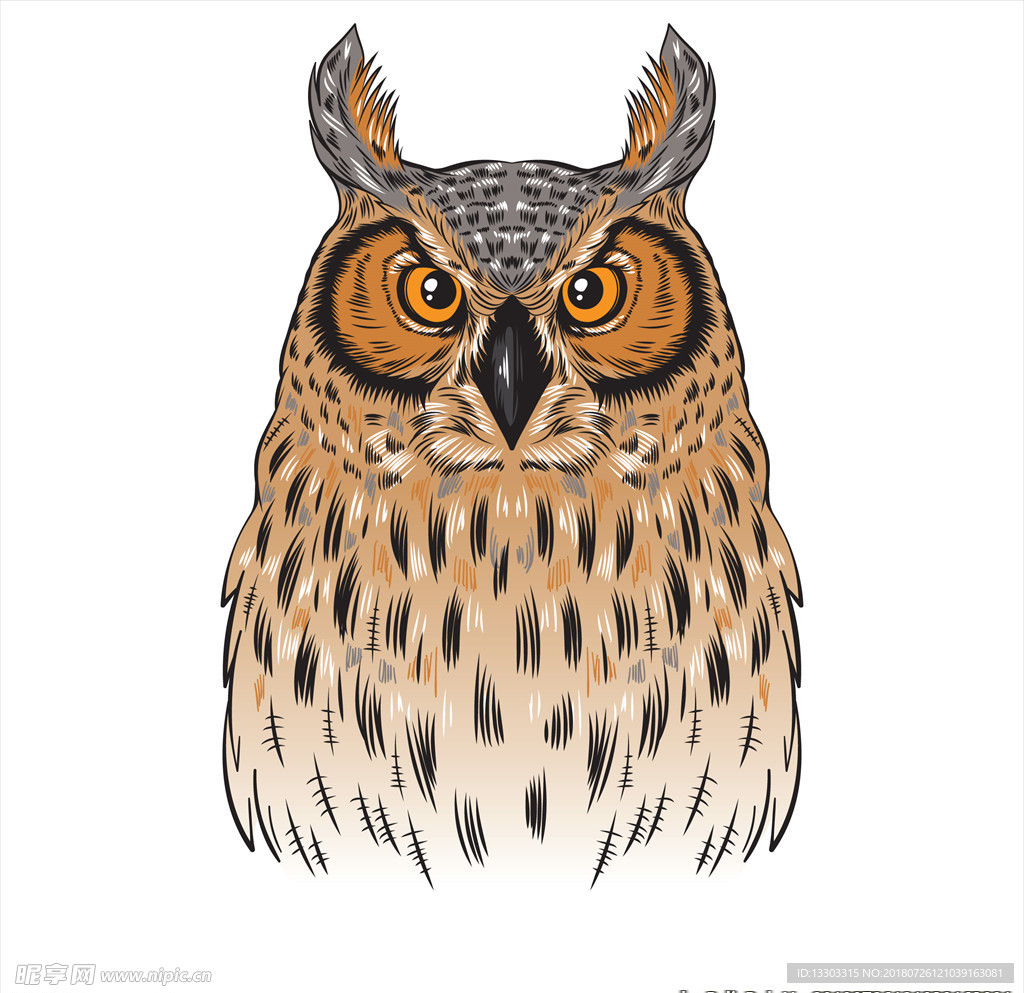 手绘猫头鹰矢量素材