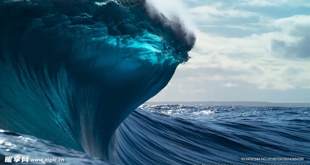 大海冲浪海豚跳跃