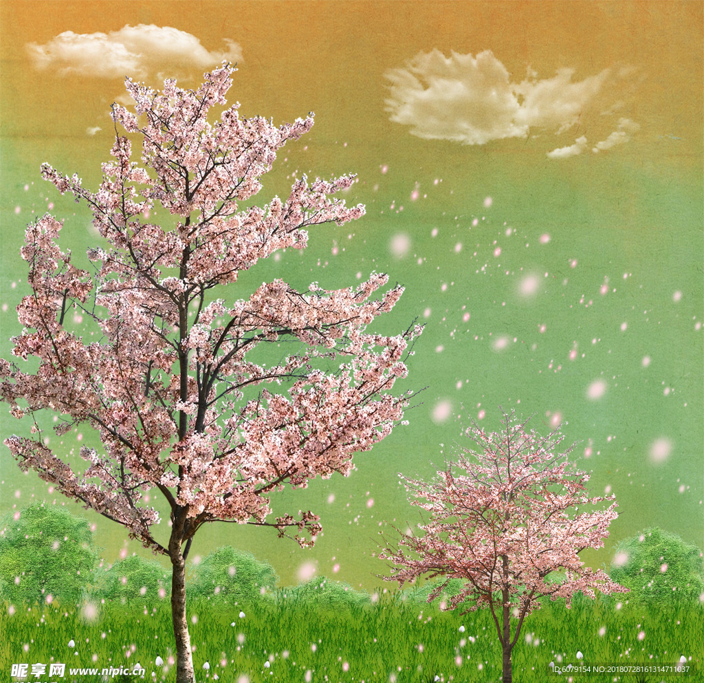 漫天飞舞的樱花