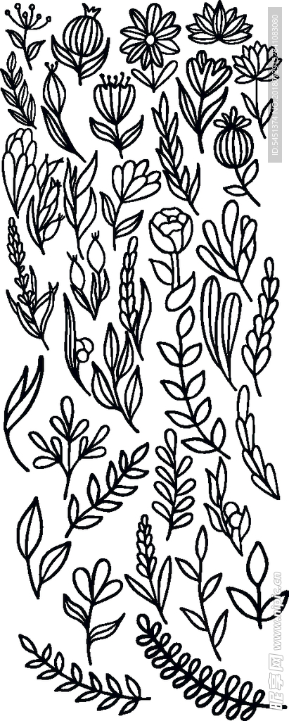 矢量线描填色花草纹样