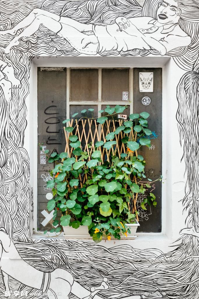 室内植物盆栽 园林盆栽