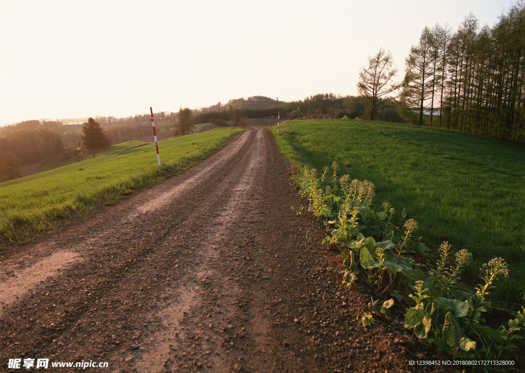 田间道路