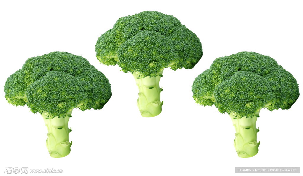 绿色西兰花蔬菜图片