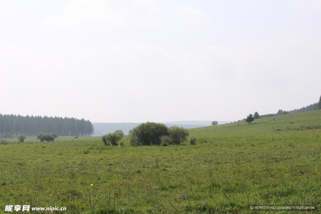 蓝天 白云 草原 草