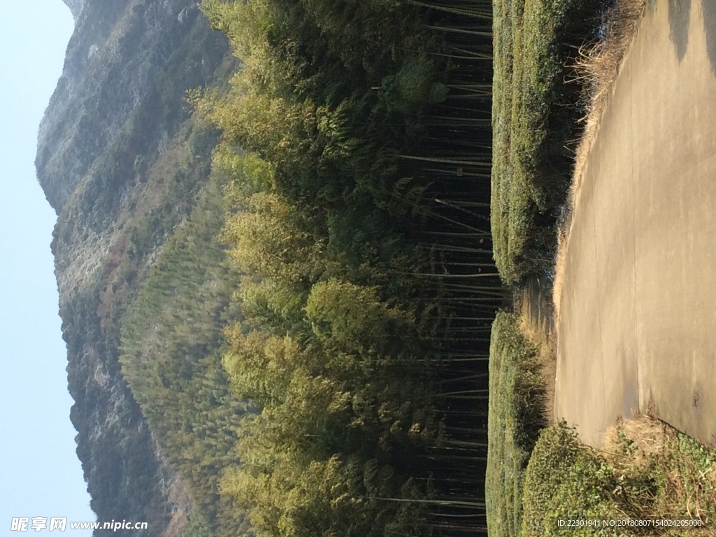 风景 沙滩 青青 阳光 湖 水