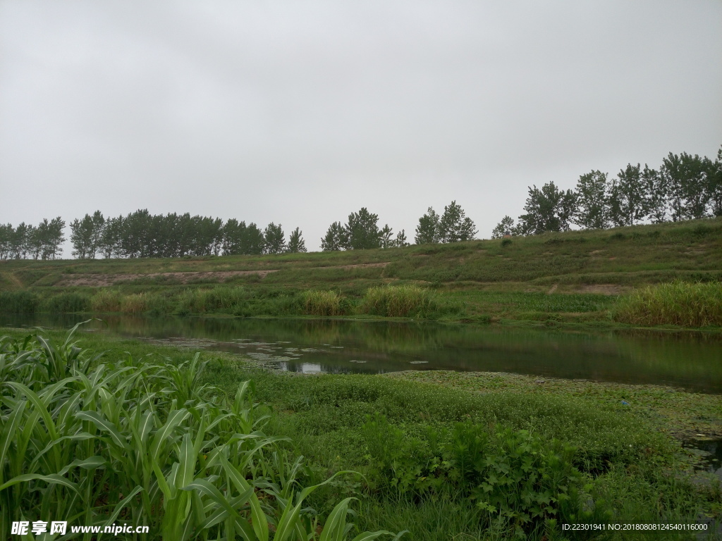 风景 水果 食品 乡村 河流