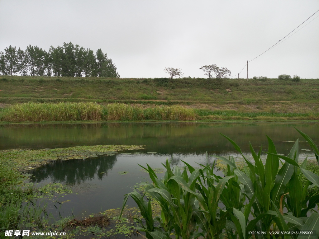 风景 水果 食品 乡村 河流