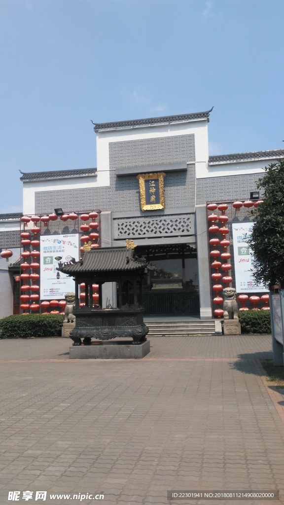 美景 风景 旅游 海洋 动物