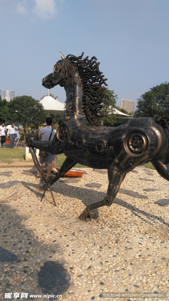 美景 风景 旅游 海洋 动物