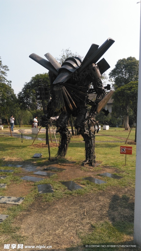 美景 风景 旅游 海洋 动物