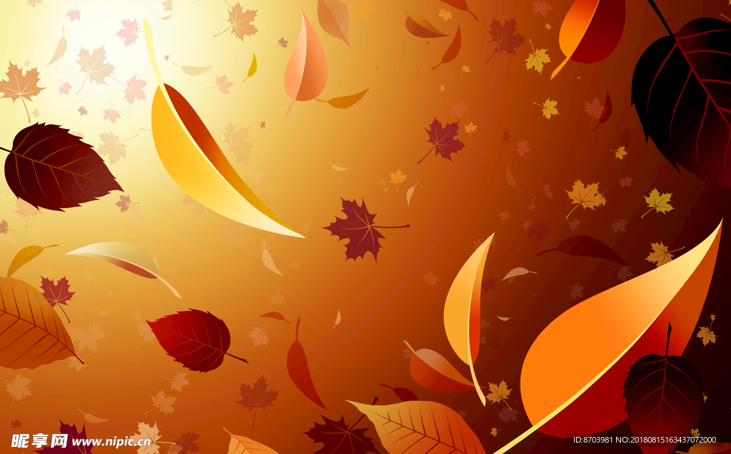 秋天落叶背景