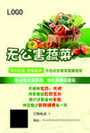 无公害蔬菜