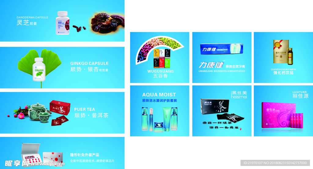 康力 顺势 蓝色 灵芝