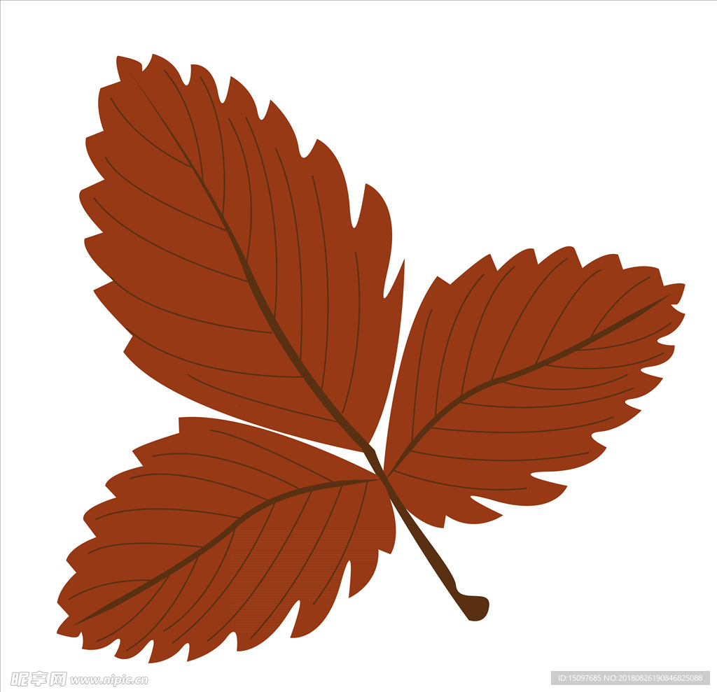 矢量秋天树叶