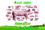 猪肉分割图