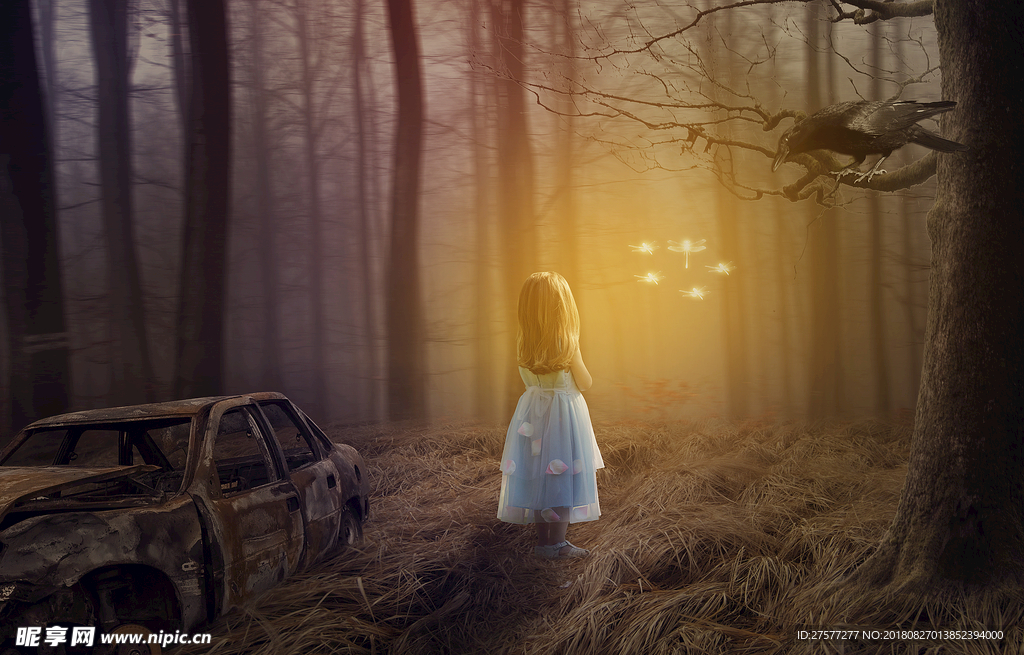 林中追光的小女孩