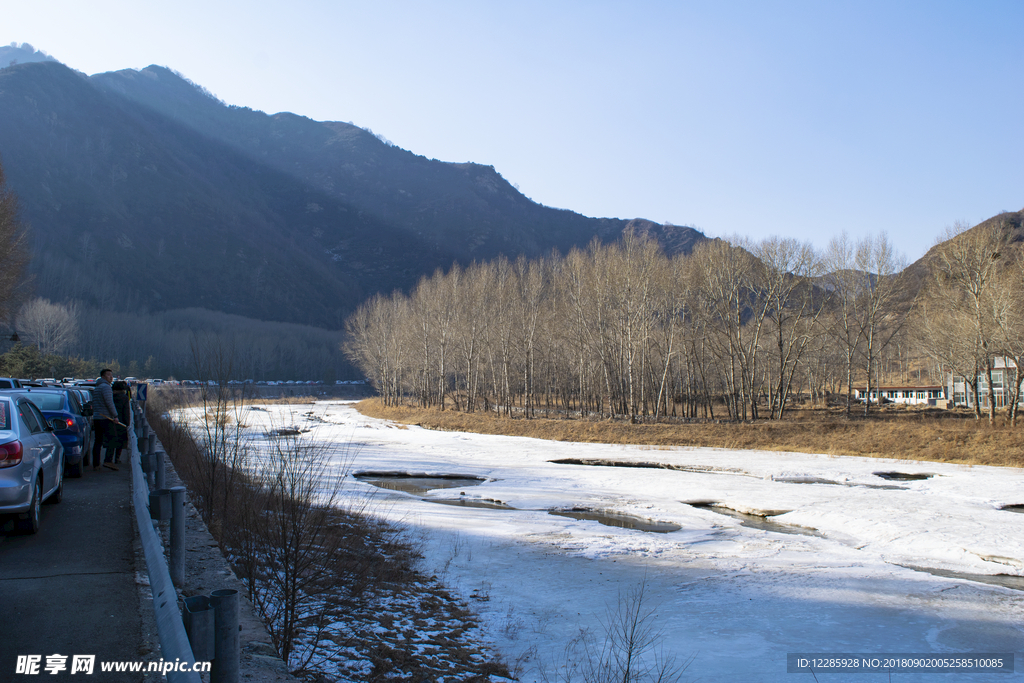 封河 冬日 冰河 桦树林