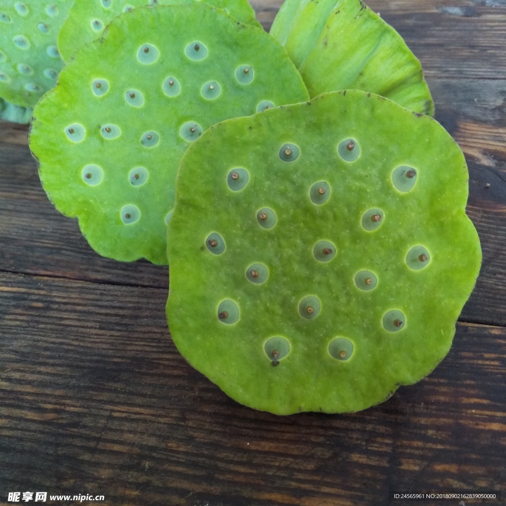 莲蓬  鲜莲蓬 青莲子 莲子