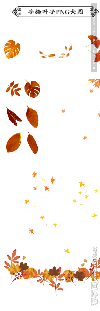 秋天叶子素材